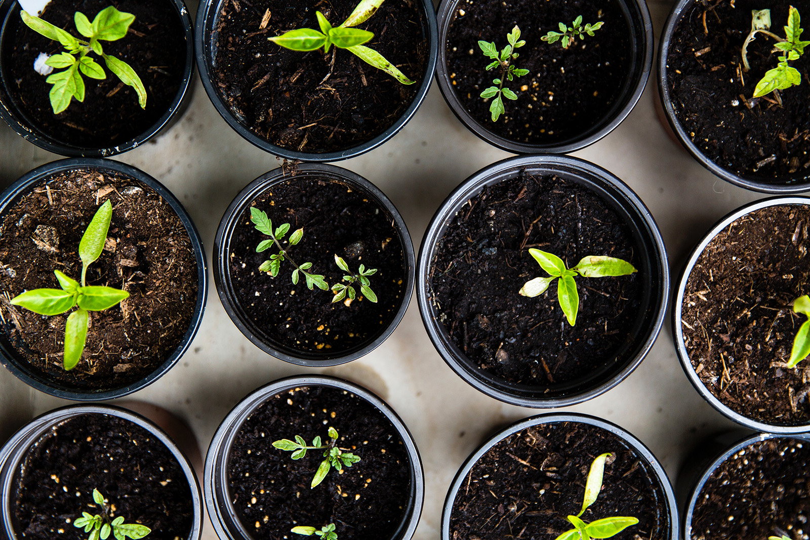 dirt-is-a-dirty-word-understanding-the-complexities-of-soil-green-america